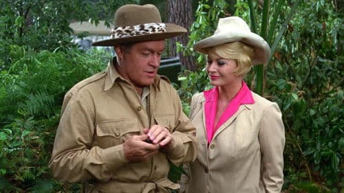 Bob auf Safari Bild 1