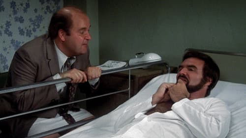 Nobody Is Perfect Bild 7