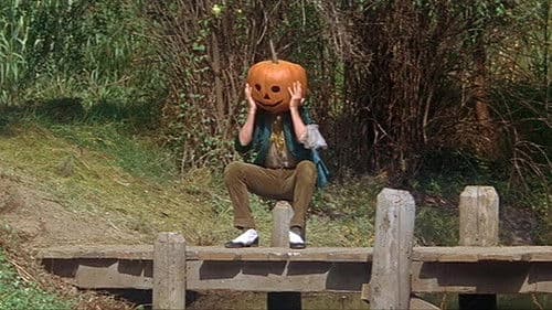 Der goldene Regenbogen Bild 8