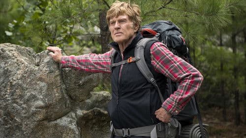 Picknick mit Bären Bild 7