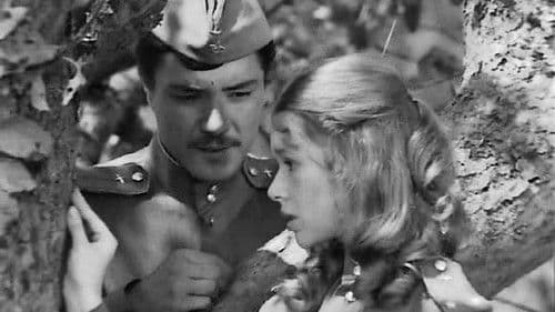 В бой идут одни старики Bild 6