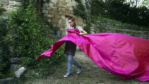 Les 3 Boutons Bild 3