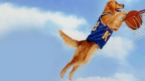 Air Bud - Champion auf vier Pfoten Bild 1