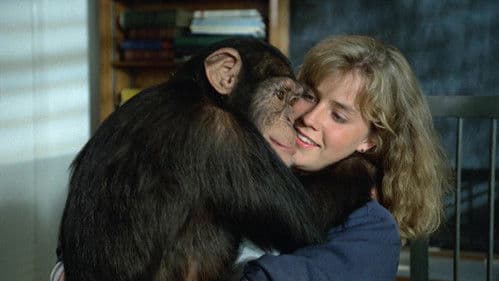 Link der Butler Bild 1