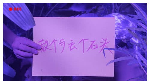 一拍脑袋一个梦 Bild 6