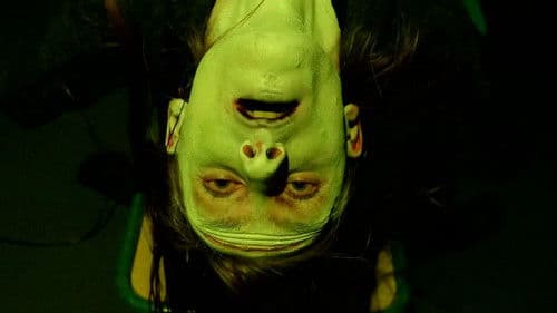 Frankenstein Created Robyn Bild 1