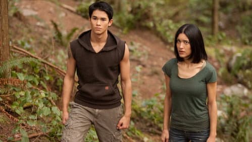 Breaking Dawn - Bis(s) zum Ende der Nacht - Teil 1 Bild 2