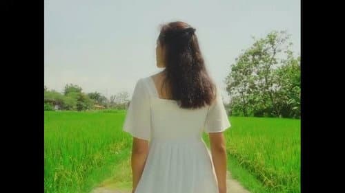 Buncah di Padang Hijau Bild 1
