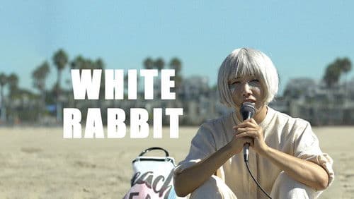 White Rabbit Bild 1