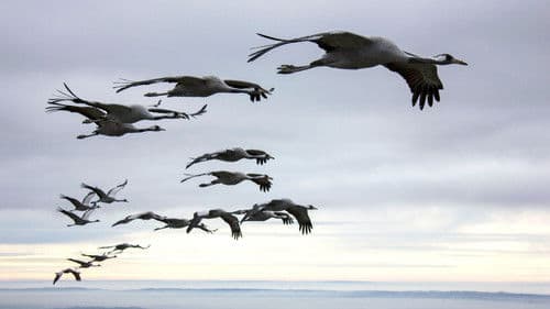 Unsere Wildnis Bild 4