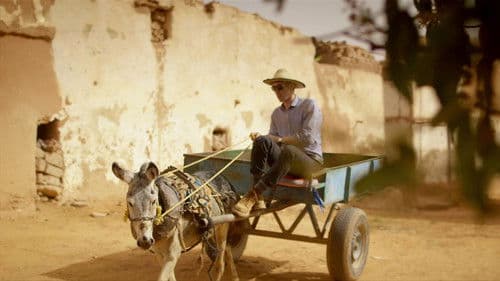 Tutankhamun In Colour Bild 2