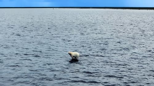 극장판 고래와 나 Bild 5