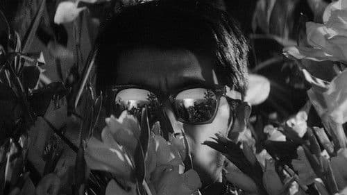 Zwischen Himmel und Hölle Bild 7