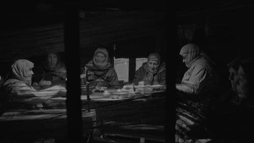 На этой земле Bild 4