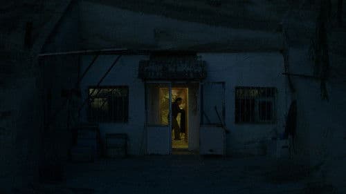 Şiddetin Gölgesi Bild 5