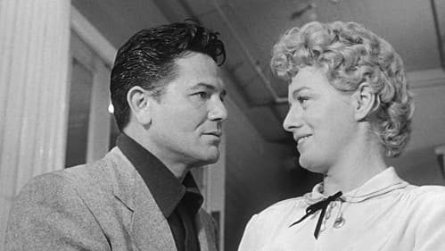 Steckbrief 7-73 Bild 5