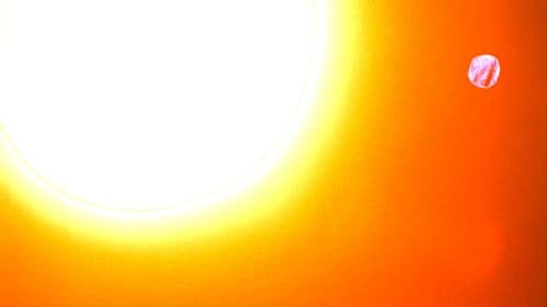 The Meaning of Life Bild 6