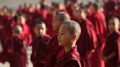 Шафрановое сердце Bild 1