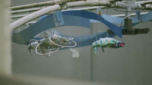 A Few Things I Think I Know About my Grandfather Bild 1