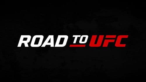 Road to UFC Bild 2