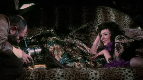 The Deadly Females Bild 1