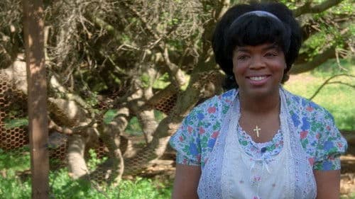 The Women of Brewster Place Bild 4