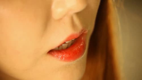 포토그래퍼 Bild 1