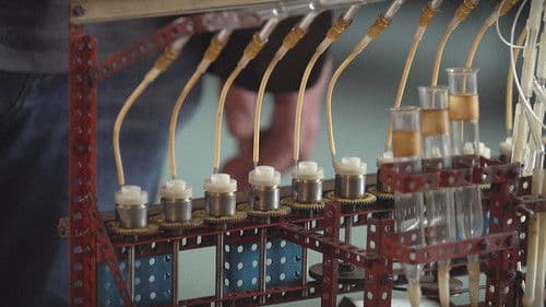 České zázraky Bild 1