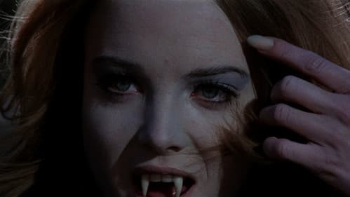 Nacht der Vampire Bild 8