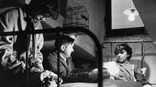 Segundo López, städtischer Abenteurer Bild 1