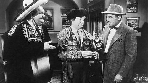 Dick und Doof - Die Stierkämpfer Bild 2