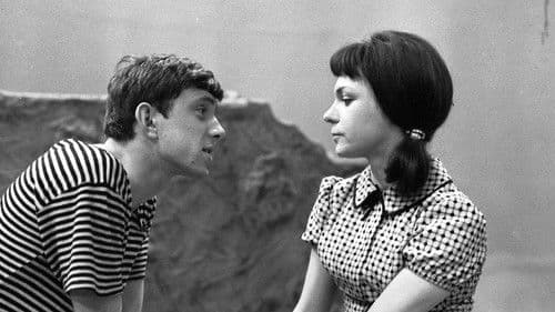 Věra Lukášová Bild 1