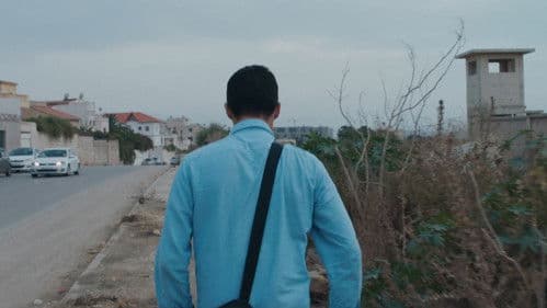 Elle Nous Regarde Bild 1