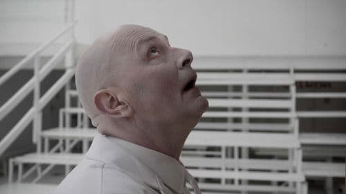 The Bookshelf Bild 1