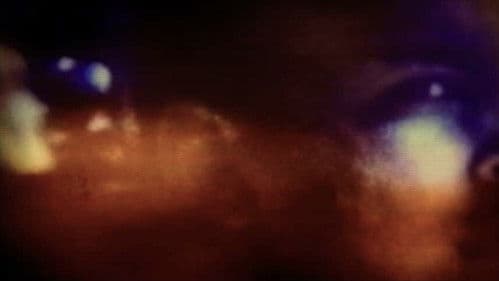 Stom Sogo Mix Bild 2