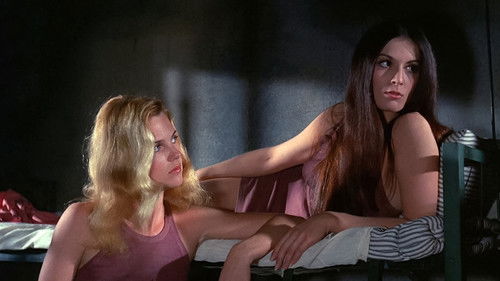 Big Doll House Bild 8