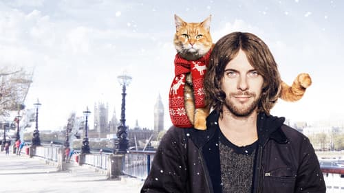 Bob, der Streuner Bild 7