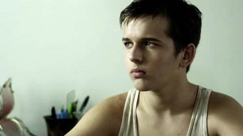 The Violation Bild 1