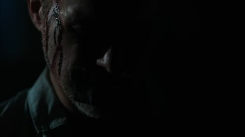 Die Unschuld der Rachel Wilson Bild 1