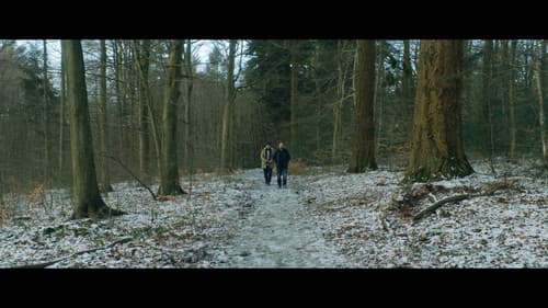 Hunting Bears Bild 8