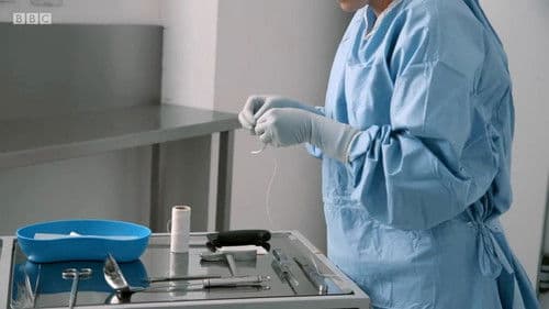 Obesity: The Post Mortem Bild 1