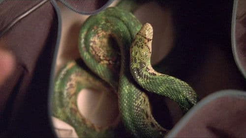 Lewis & Clark & George Bild 6