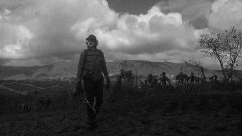 Essential Truths of the Lake Bild 5