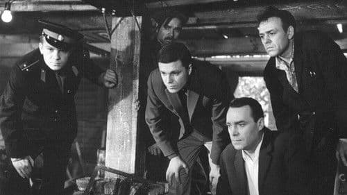 Развязка Bild 1