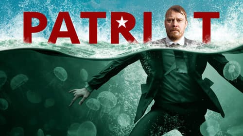 Patriot Bild 4