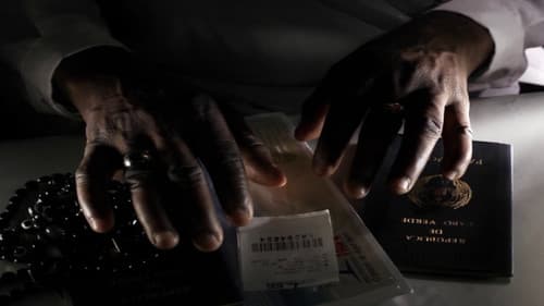 Cavalo Dinheiro Bild 6