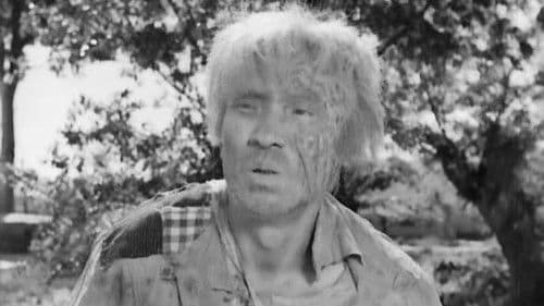 Die Kinder von Hiroshima Bild 5