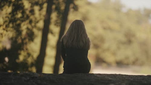 The Mirror/Mirror The Bild 2