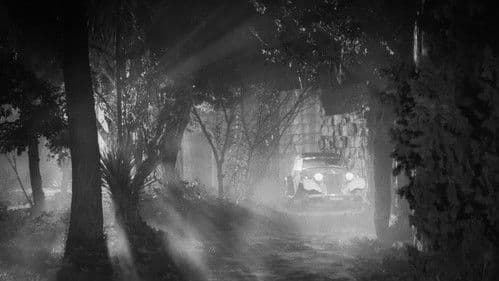 Der Vampir von Notre Dame Bild 2