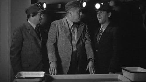 Dutiful But Dumb Bild 3